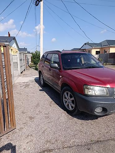 коробка на форестер: Subaru Forester: 2004 г., 2.5 л, Автомат, Бензин, Универсал — 5