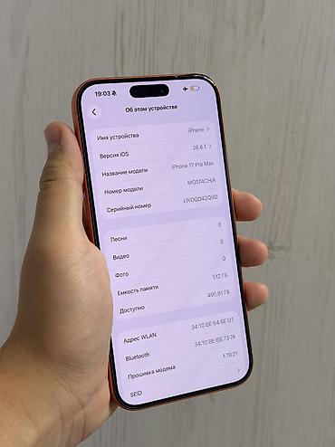 Apple iPhone: IPhone 17 Pro Max, Б/у, 512 ГБ, Оранжевый, Защитное стекло, Чехол, 91 % — 3