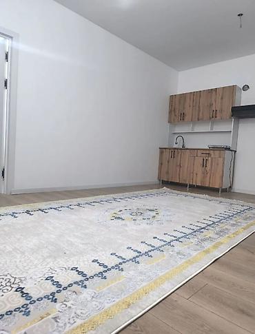 Долгосрочная аренда квартир: 1 комната, Агентство недвижимости, Без подселения, С мебелью частично — 1