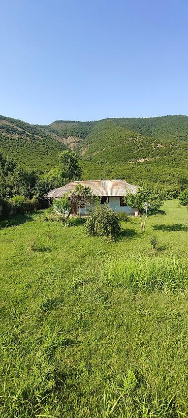 qala emlak: 30 sot, Kənd təsərrüfatı, Barter mümkündür, Kupça (Çıxarış), Bələdiyyə — 4