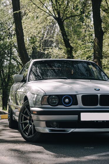 надия: BMW 5 series: 1995 г., 4.4 л