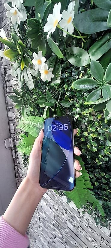 iphone dubay versiya: IPhone 16 Pro Max, 256 GB, Qızılı, Zəmanət — 6