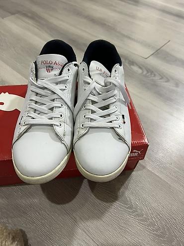 Кроссовки и спортивная обувь: Оригинал ….Кеды U.S. Polo Assn. Franco DHM - Оригинальные белые кеды — 2