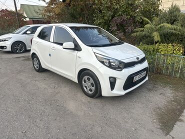 амортизатор на ниссан примера: Kia Morning: 2018 г., 1 л, Автомат, Бензин, Хэтчбэк