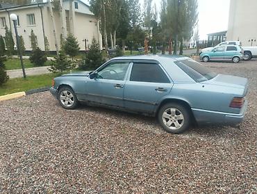 Mercedes-Benz E-Class: 1989 г., 2.5 л, Механика, Дизель, Седан