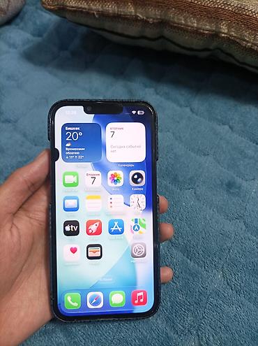 Apple iPhone: IPhone 13 Pro, Б/у, 256 ГБ, Sierra Blue, Чехол, 100 % — 15