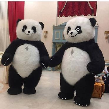 Panda şou 🐼