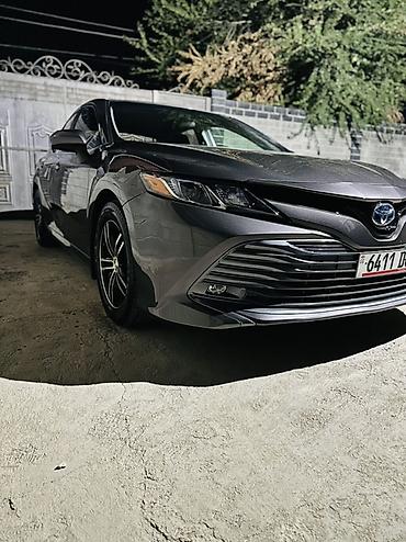 потолок камри 55: Toyota Camry: 2020 г., 2.5 л, Вариатор, Гибрид, Седан — 3