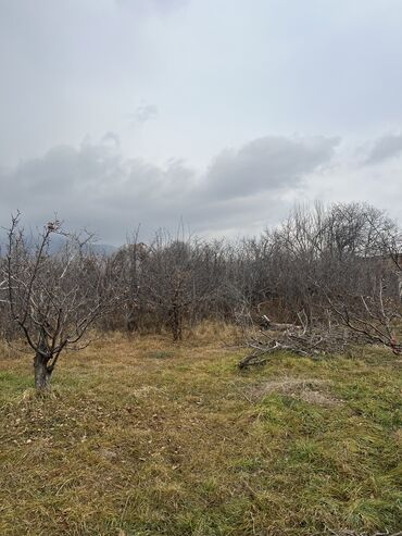 Продажа домов: Дом, 85 м², 4 комнаты, Собственник, Старый ремонт — 20