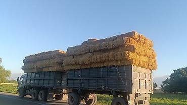 прицеп эвокуатор: Тягач, Камаз, Самосвал — 6