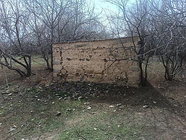 Həyət evi alıram: Unvan:Goranboy Məhlə sənətdə 25 sotdu ancaq 35 sotdan çokdu. Əl evi — 10