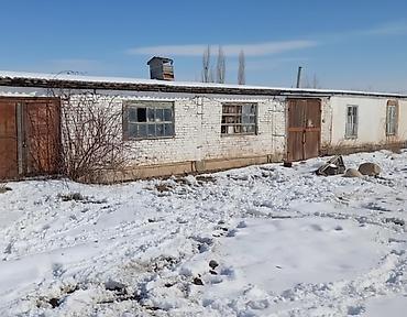 город каракол: Кошара, 50 соток, Действующий, Без оборудования, Электричество — 2