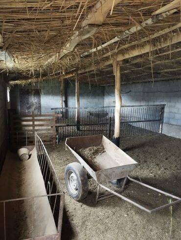 Сельхоз предприятия: Продаётся кашар с полностью огороженным участком площадью 4,5 га. На — 7