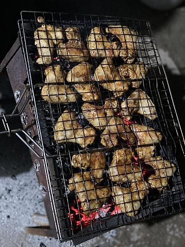 балыка тор: Перепелиное мясо маринованное для шашлыка готовая продукция свежая — 6