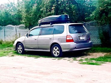 хонда фт: Honda Odyssey: 2000 г., 3 л, Автомат, Газ, Минивэн