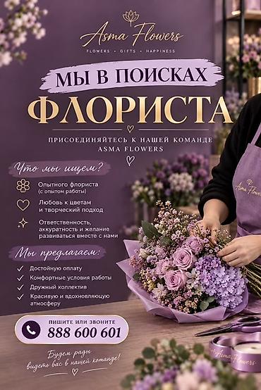 работа типаграфия: Оформитель — 1