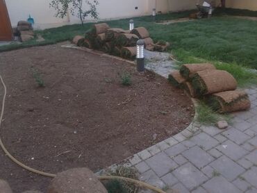 Şitillər: Qazon satışı enli yarpaq danimarka toxumuyla əkilmə qazon satışını -da lalafo.az — 28 Şitillər: Qazon satışı enli yarpaq danimarka toxumuyla əkilmə qazon satışını — 28