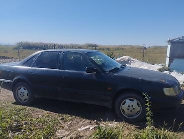 Audi: Audi 100: 1992 г., Седан — 5
