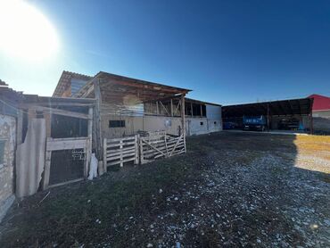 Продажа домов: Дом, 60 м², 2 комнаты, Агентство недвижимости, Косметический ремонт — 17