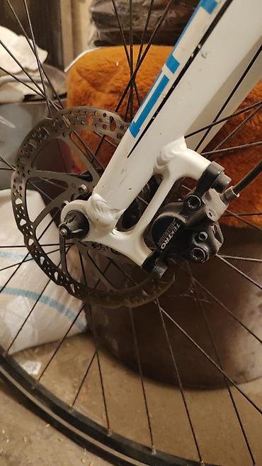 format velosiped: Şosse/fitnes tipli Format velosipedi - Çərçivə: yüngül alaşımlı, ağ — 10