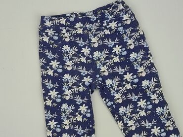 szare legginsy sinsay: Leggings for kids, Lupilu, 5-6 years, 110/116, condition - Good