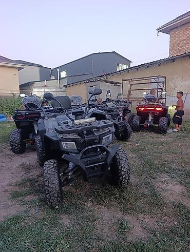 нур мото: Квадроцикл Бензин, 250 куб. см, Взрослый — 1