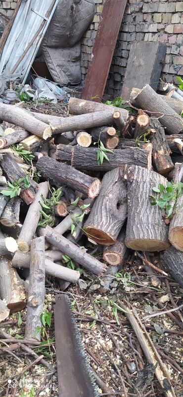 где можно продать дрова: Дрова Карагач, Самовывоз
