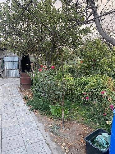 Продажа коттеджей и домов: Продается дом 7,7 соток 53 кв.м + времянка + гараж + баня Центральная — 13