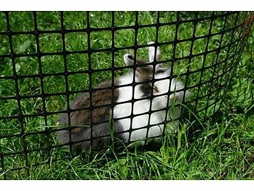 Другие товары для дома: Садовая пластиковая садовая решетка для дома и сада. Пластиковая — 4