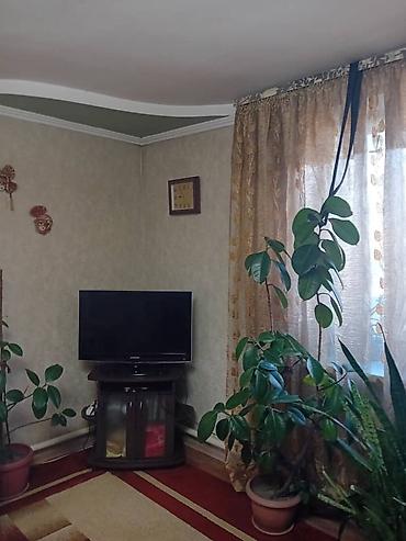 дача горное: Дом 50 м² на первой линии в Лебединовке — под бизнес или для жизни — 9