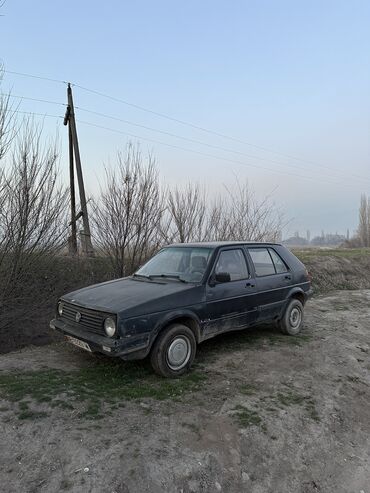 Volkswagen: Volkswagen Golf: 1988 г., 1.8 л, Механика, Бензин