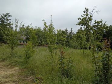 Torpaq sahələrinin satışı: 6 sot, Tikinti, Barter mümkündür, Kupça (Çıxarış) -da lalafo.az — 4 Torpaq sahələrinin satışı: 6 sot, Tikinti, Barter mümkündür, Kupça (Çıxarış) — 4