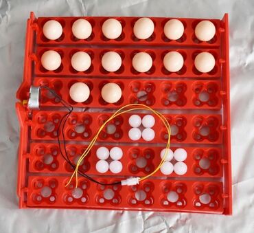 inkubator avadanlıqları: İnkubator latok 36 yumurtalıq latoku 220 voltla işləyən matorlu