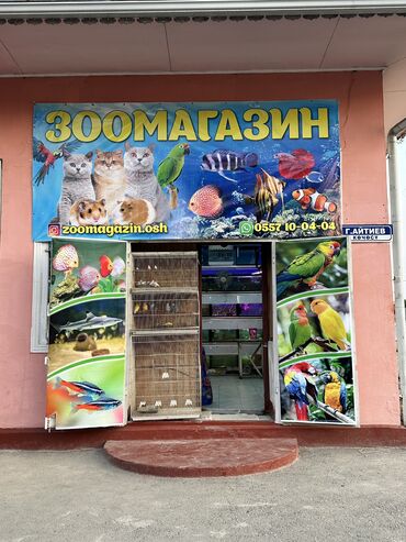 кошачий корм: Зоо магазин 
Адрес : инама саидова 1