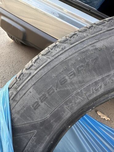 гоформ шины в бишкеке: Состояние нормальное, на сезон