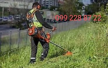 meşə şəkli çəkmək: Xidmət: Ağacların kəsilməsi, budanması və ot/kol örtüyünün — 3