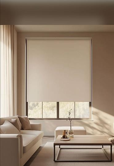 Rulon ştorlar: Zebra və stor pərdələr - Model: Zebra (şəffaf/qatı zolaqlı) və — 3