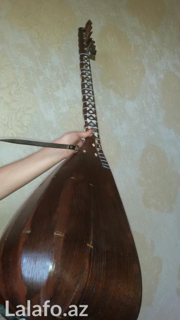 saz cantasi: Qədimi saz.Orginal təbii sədəflə indiki saxtalarından — 3
