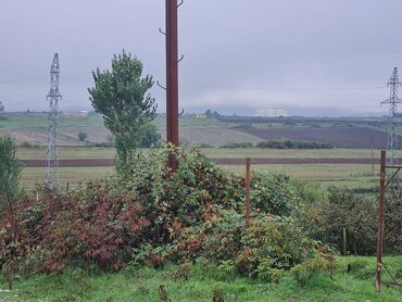 Torpaq sahələrinin satışı: 100 sot, Kənd təsərrüfatı, Mülkiyyətçi, Kupça (Çıxarış) — 4