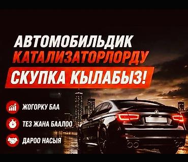 бвд чемпион цена: Катализатор сатып алабыз, эн кымбат баада, Скупка катализаторов в — 1