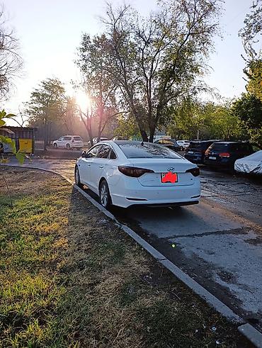 Продажа авто: Hyundai Sonata: 2017 г., 2 л, Автомат, Бензин, Седан — 2