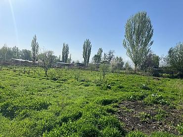 Продажа участков: 30 соток, Для сельского хозяйства, Красная книга, Тех паспорт at lalafo.kg — 5 Продажа участков: 30 соток, Для сельского хозяйства, Красная книга, Тех паспорт — 5