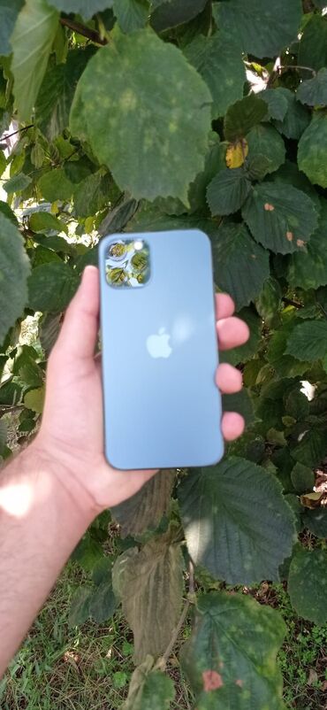 lalafo iphone 12: IPhone 12 Pro, 128 GB, Pacific Blue