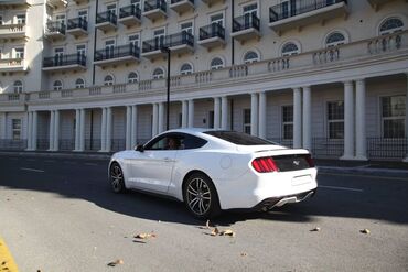 Digər avto xidmətlər: Ford mustang 2018 toy nişan və digər tədbirlər üçün sifariş edə — 4