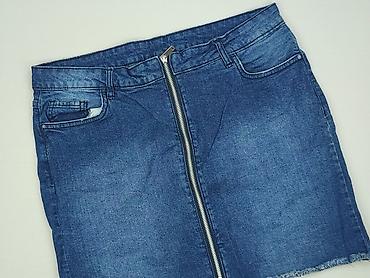 dzwony levis: Janina, Spódnica damska, rozmiar 4XL — 1