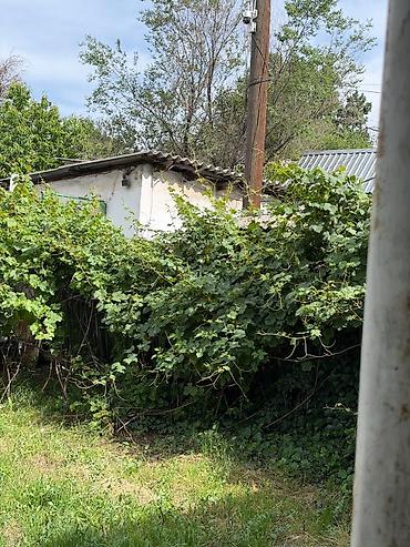 Продажа полдома: 3 комнаты, 54 м², 2 соток, Пишпек Газ, Электричество, Канализация — 6