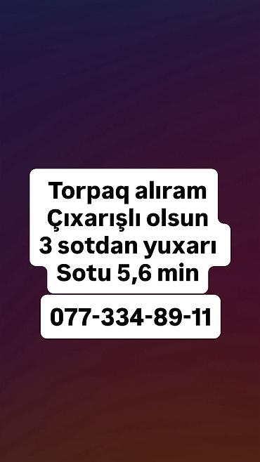 Tikinti