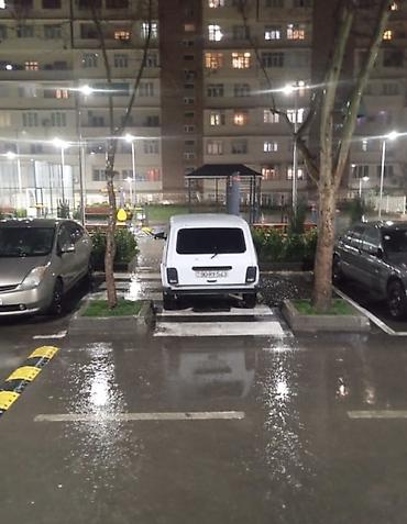 kredit niva: Lada Niva (VAZ 2121) 3 qapılı, ağ rəngli SUV/off-road avtomobili — 2