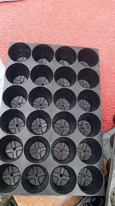 Torf: Məhsul: Neytrallaşdırılmış torf və kokos substratı Təsvir: - Brend — 67