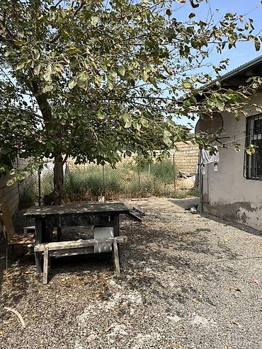 Torpaq sahələrinin satışı: 2 sotun içərisindədir, hasarı, darvazası var. Ev kubiklə tikilib, əsas -da lalafo.az — 3 Torpaq sahələrinin satışı: 2 sotun içərisindədir, hasarı, darvazası var. Ev kubiklə tikilib, əsas — 3